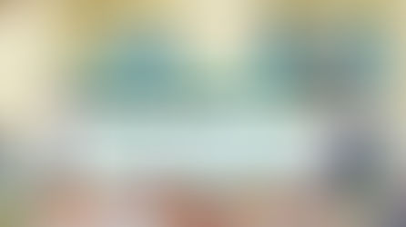 Fête de fin d'année : les spectacles de tous les élèves