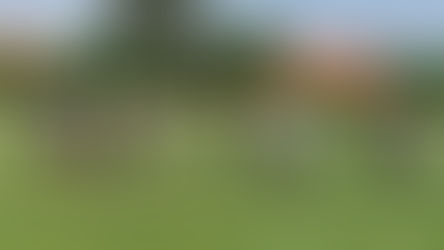 Association Sportive 2020-2021 : Rugby is back !!!