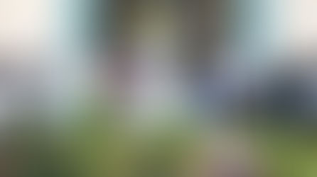 Immaculée conception : Marie, notre Mère, à l'honneur.