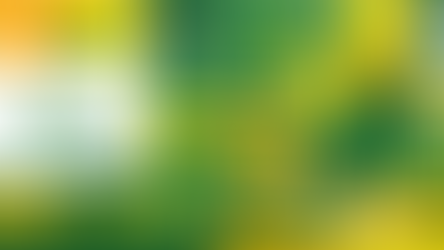 Semaine des lycées français du monde - spé.HGGSP