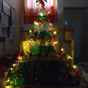 Entre sciences et recyclage : Le magnifique sapin de Noël des Passerelle !!!!