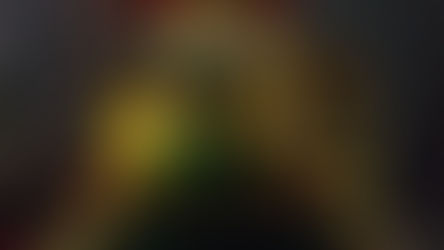 Entre sciences et recyclage : Le magnifique sapin de Noël des Passerelle !!!!