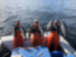 IMG-0371.jpeg