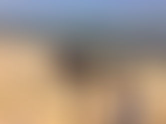 Les 4èmes S s'intéressent au calcaire...