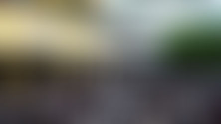 102ème anniversaire de l'Armistice de 1918