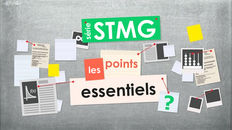 STMG : Obtenir toutes les clés pour comprendre l’organisation, le fonctionnement et les spécificités