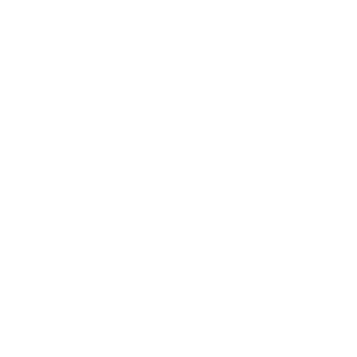 noun-partnership-6666836-FFFFFF.png