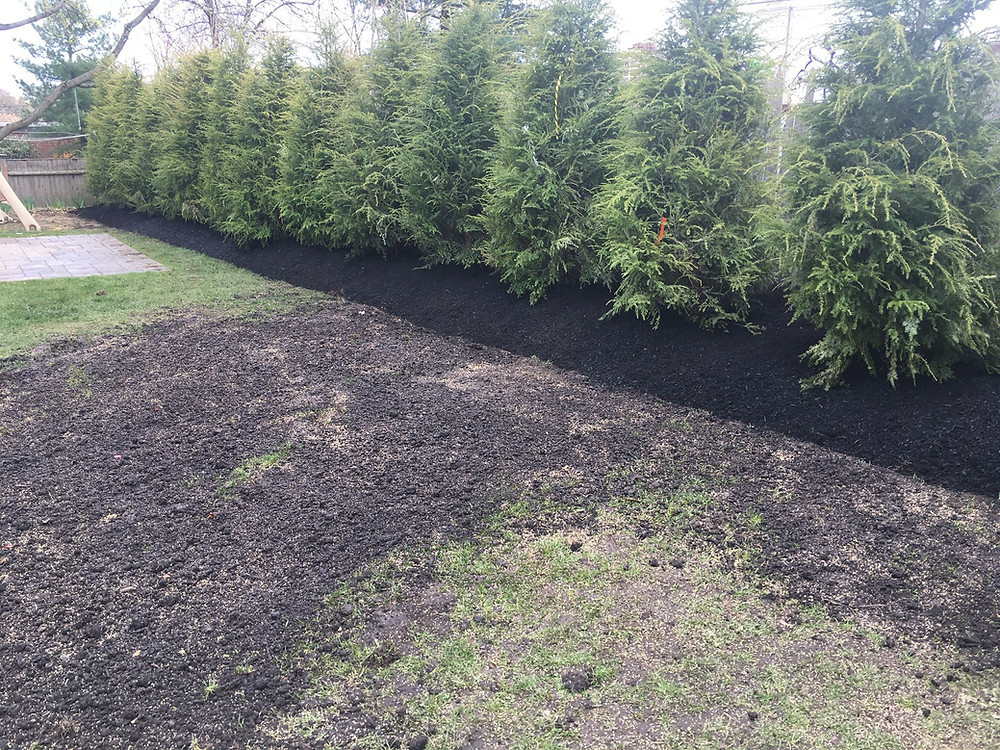 Tree Services Near Me Swampscott MA - These 7 Landscaping Problem Areas