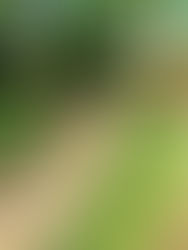Featured In: My URL Pro