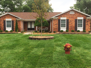 Does Fertilization Prevent Unwanted Weeds in the Bloomfield Hills, MI, Area?