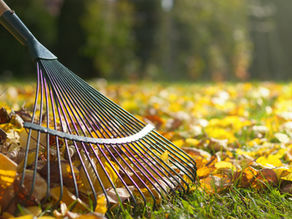 Is Fall Cleanup Provided by a Commercial Lawn Mowing Company in the Green Oak Township, MI, Area?