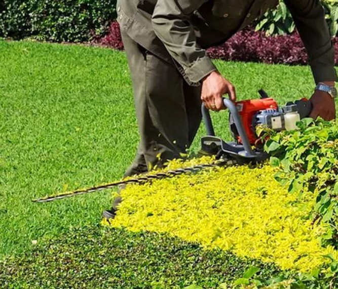 A Look at Services Included in Commercial Landscaping in the Plainfield