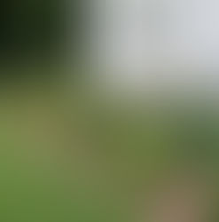 Professional Lawn Care Is the Key to Beautiful Landscaping in Briarcliff Manor, NY