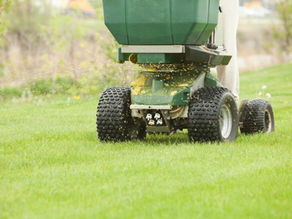 How Long Until You Can See the Benefits of Fertilization in the Novi, MI, Area