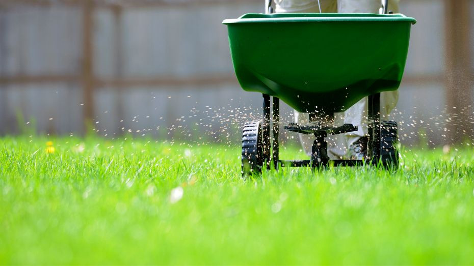 How to Integrate Irrigation and Fertilization as Part of Your Lawn Care to Keep Your Lawn Green All Season Long in Orchard Lake, MI