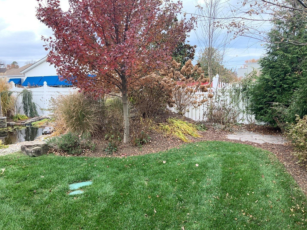 Find Yourself Searching “Lawn Care Near Me?” It Is Time to Hire the Pros in the Selbyville, DE, Area