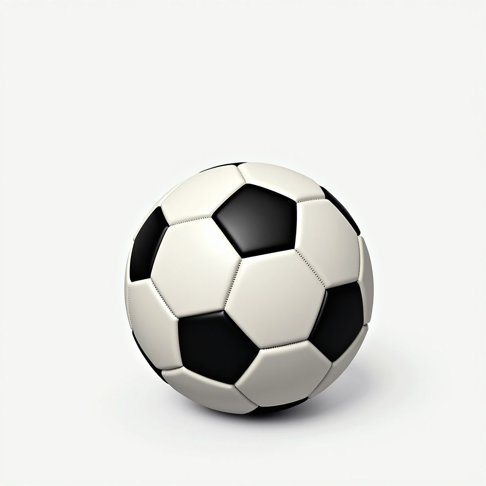 Soccer Training Ball