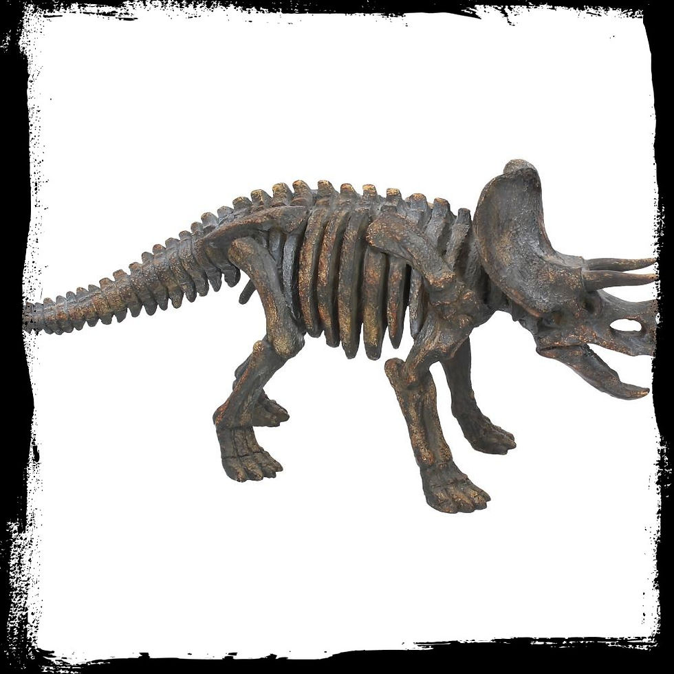 Thumbnail: Triceratops Small 32 cm