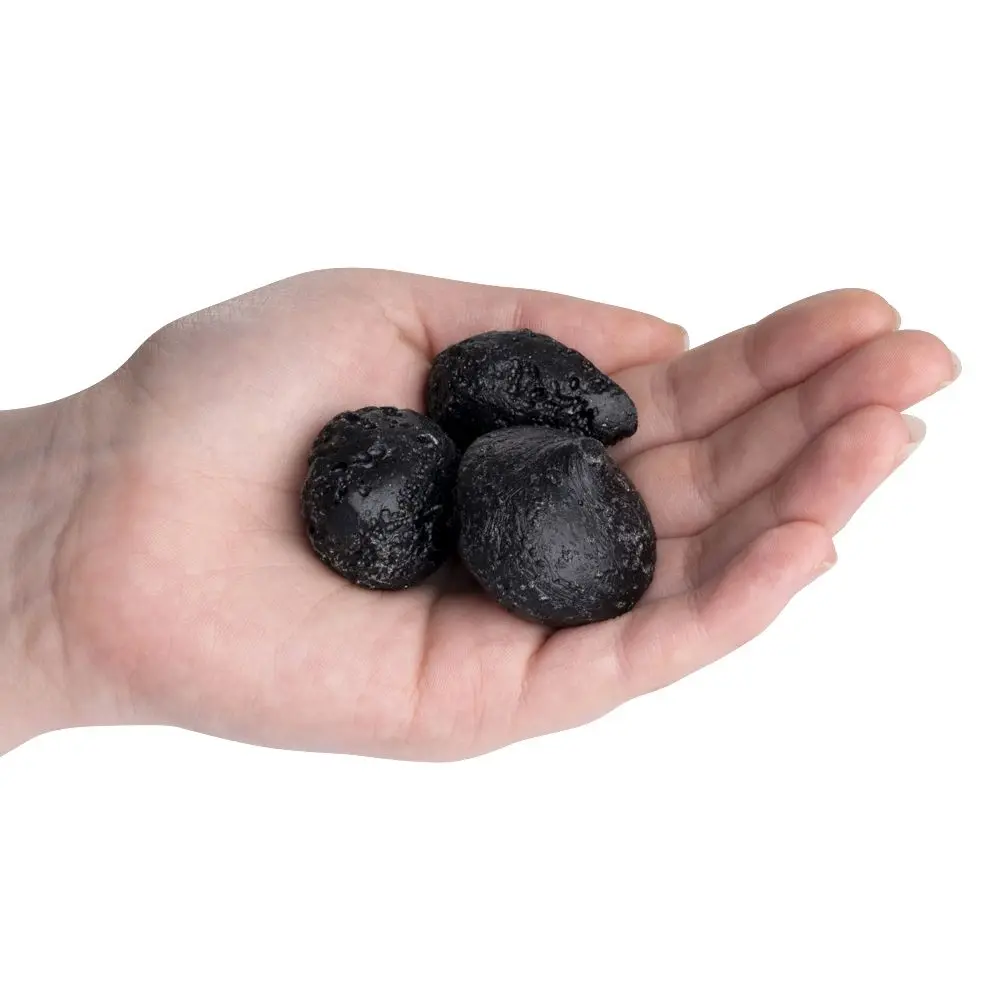 Tektite droplets, 25-30mm in a woman's palm.