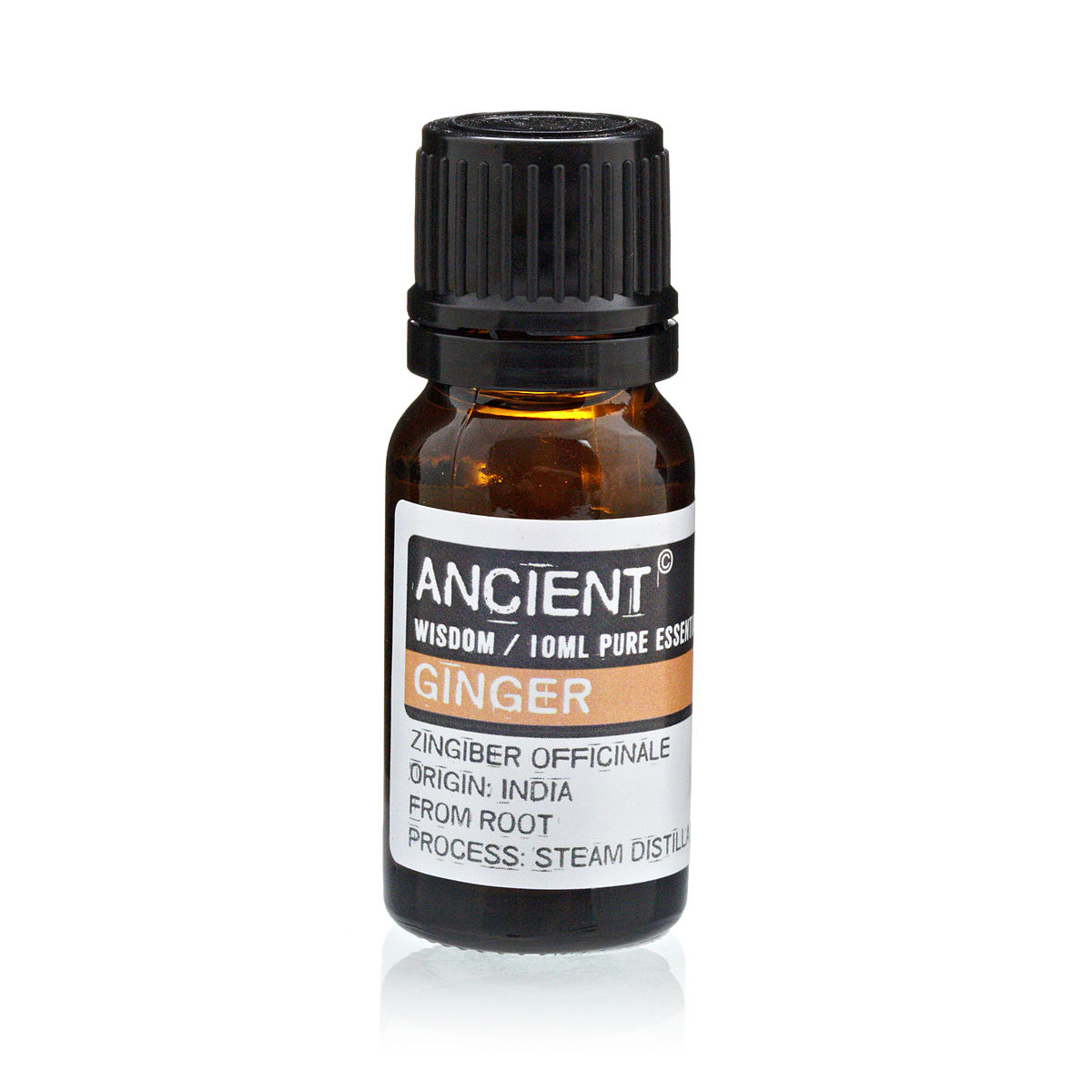 Ginger Essential Oil 10 ml