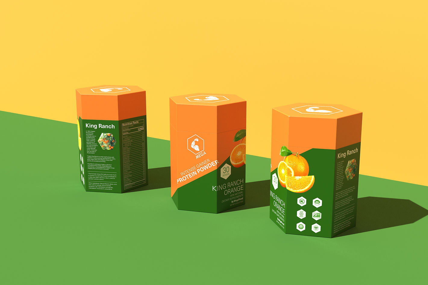 final renders already colored.8.jpg