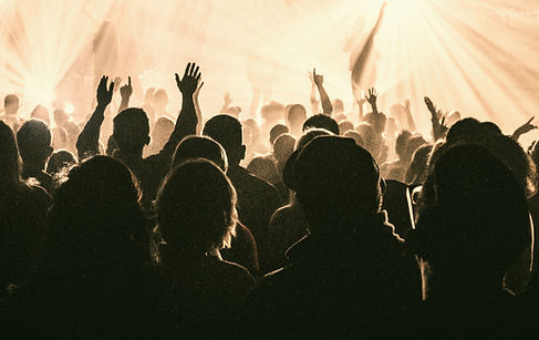 group of people watching concert_edited_edited_edited_edited_edited.jpg