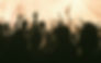 group of people watching concert_edited_edited_edited_edited_edited.jpg