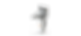 normal_size_rendering.tif
