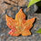Thumbnail: Commission your own 'Beauty in Letting Go' leaf labyrinth in your colors