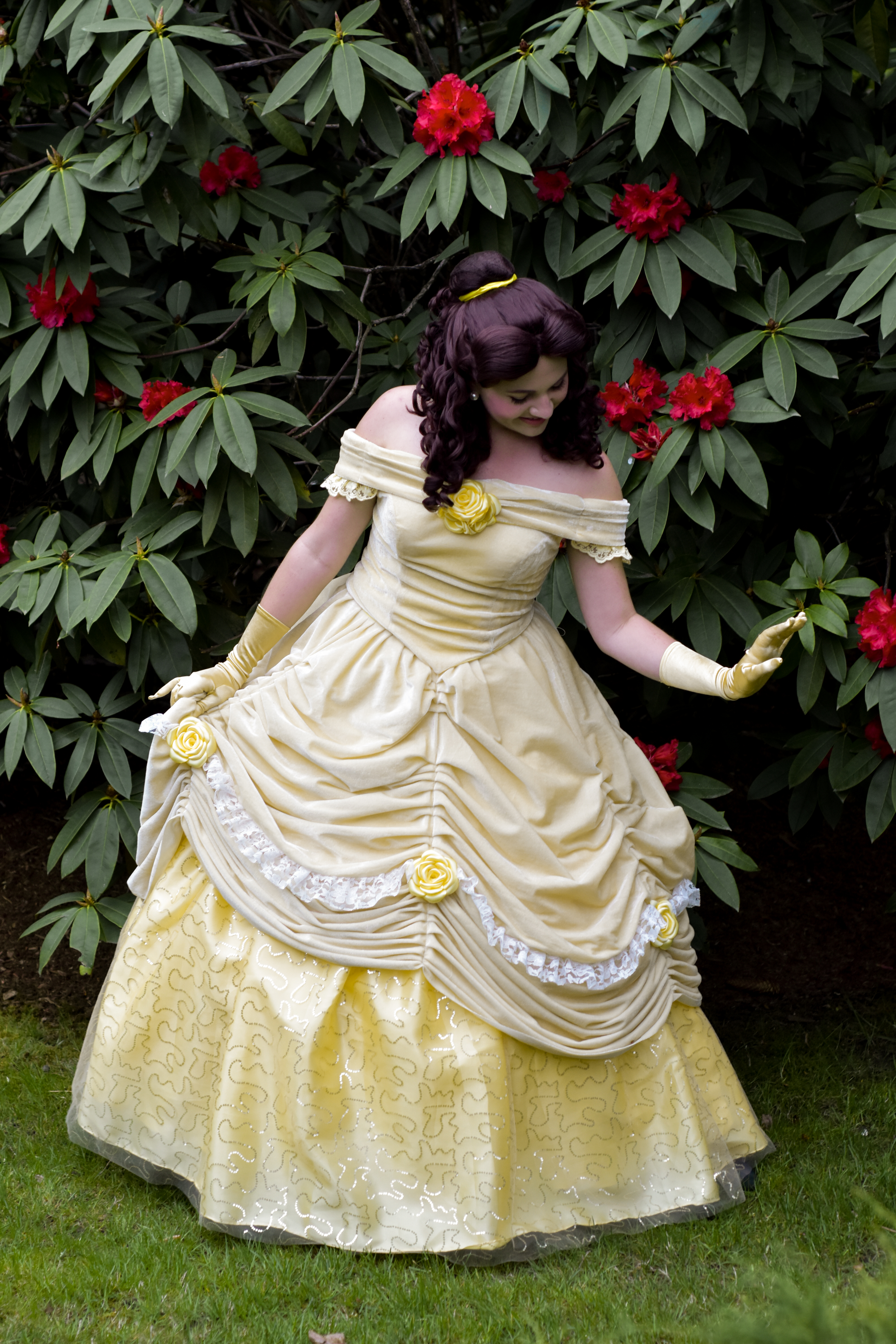 The Enchanted Princess