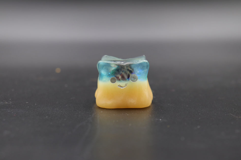 Thumbnail: Sea Shell Chonky