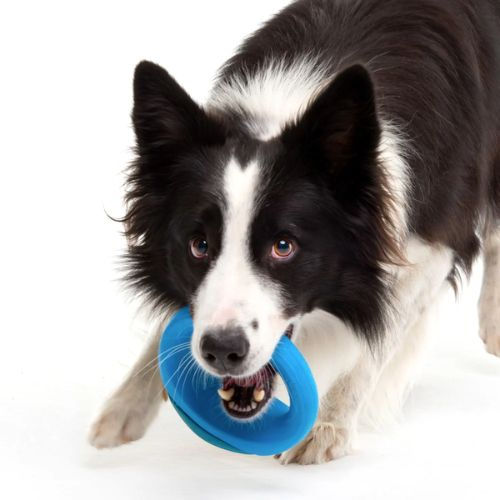 Thumbnail: ROGZ Pop-Upz Fetch Toy