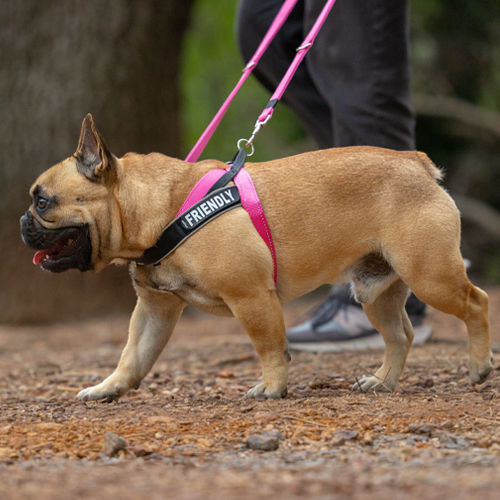 Thumbnail: Utility Letz Go Personalised Harness