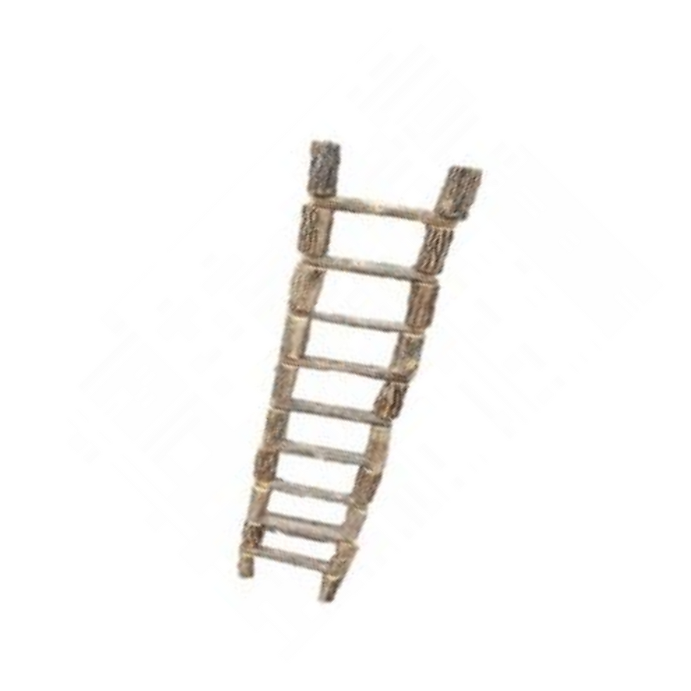 Petsa Parrot Ladder