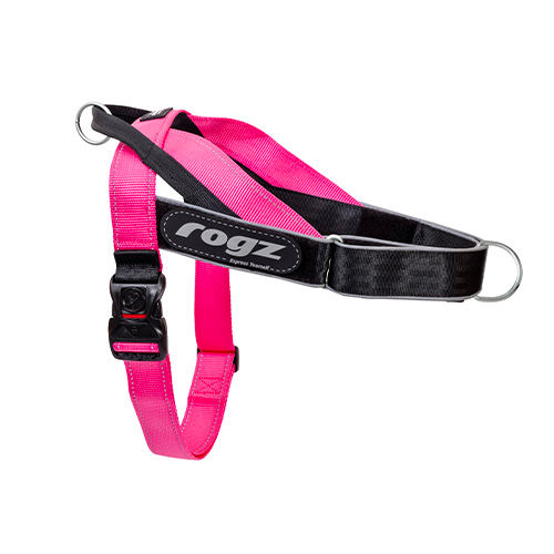 Utility Letz Go Personalised Harness
