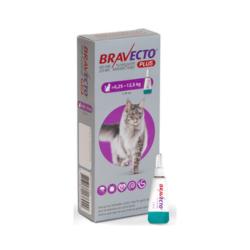 Thumbnail: Bravecto Plus Spot-On for Cats