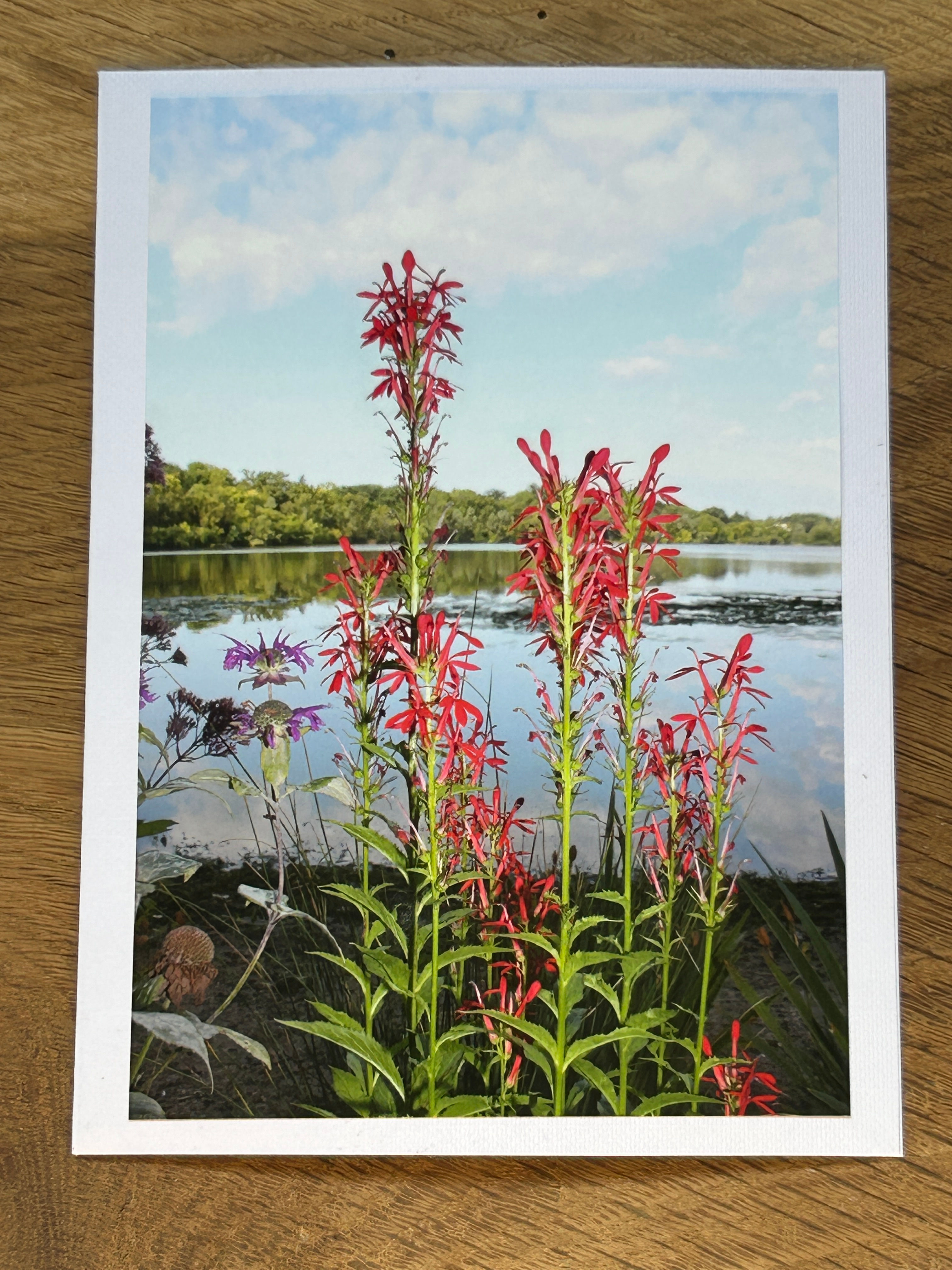 Cedar Lake, Minnesota.(6)