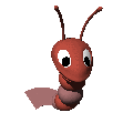 shrimp_swimming_md_clr.gif