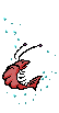 shrimp (1).gif