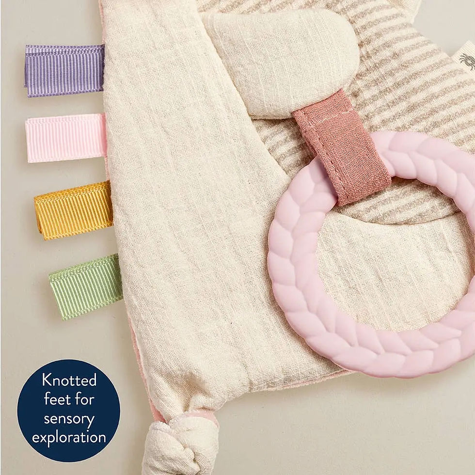 Thumbnail: Bunny Crinkle Plush Silcone Teether - Itzy Ritzy