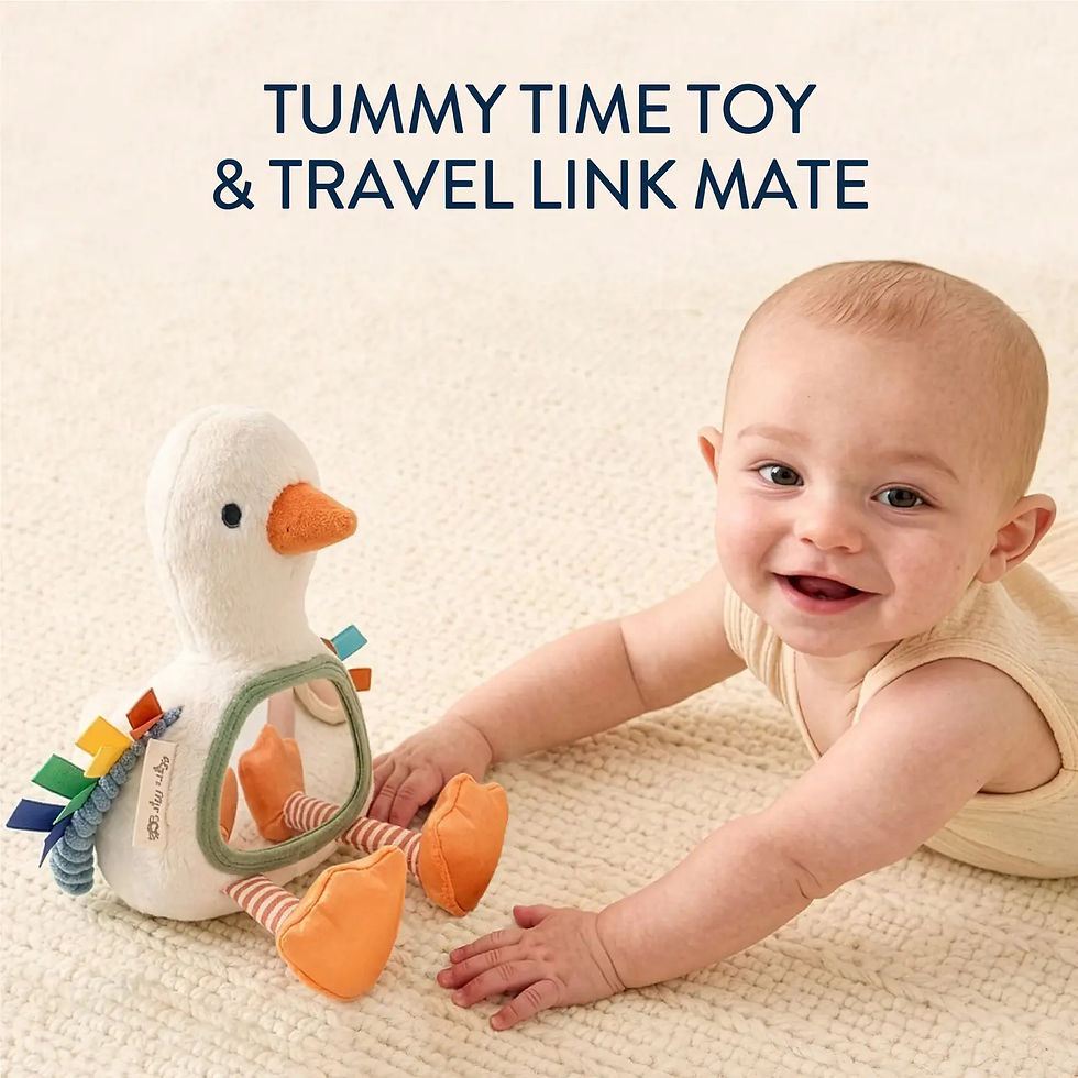 Thumbnail: Sensory Tummy Time Mirror Goose - Itzy Ritzy