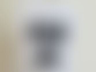 もうすぐクリスマス🎄