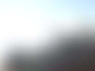 11月