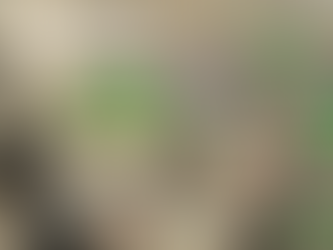 Timna Copper Smelting