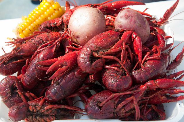 Crawdad1