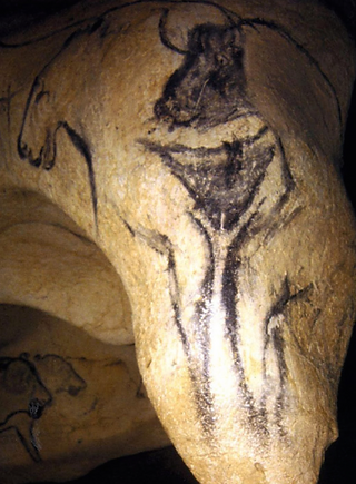 chauvet7