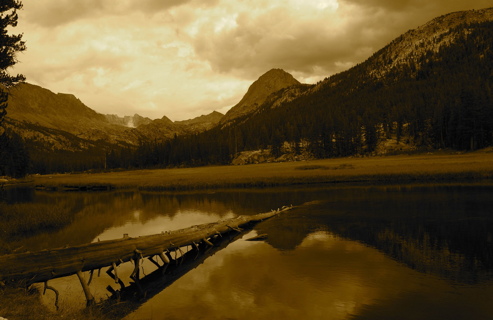 McClure Meadow1