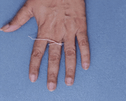 2.gif