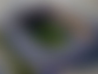 El renovado Proyecto Esloveno que daría lugar a la ampliación y remodelación de la Bombonera