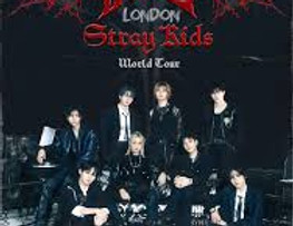 stray kids toi.jpg